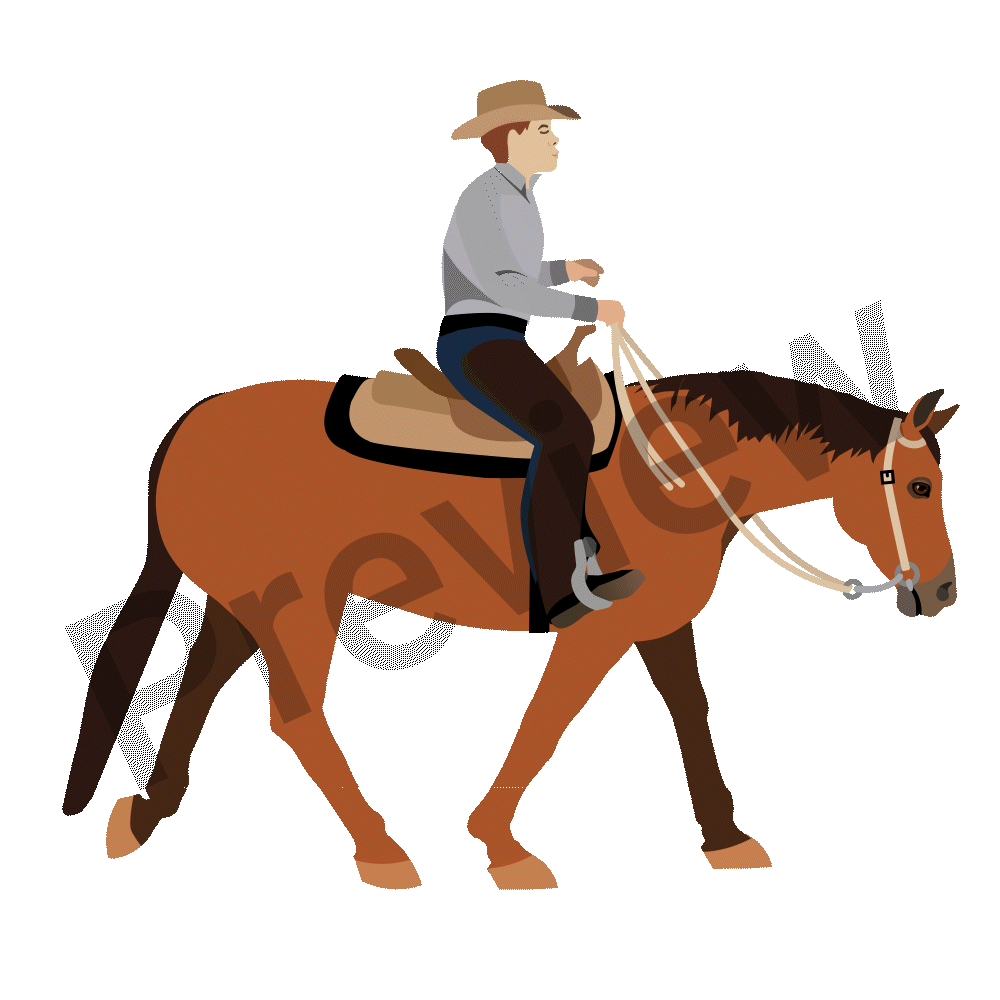 Create Your Own Male or Female Western Pleasure GIF