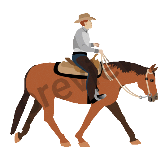 Create Your Own Male or Female Extended Trot GIF
