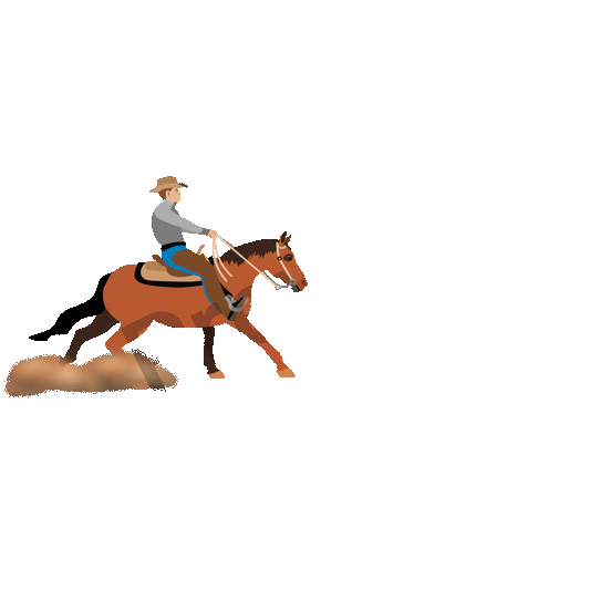 Create Your Own Male or Female Reining GIF